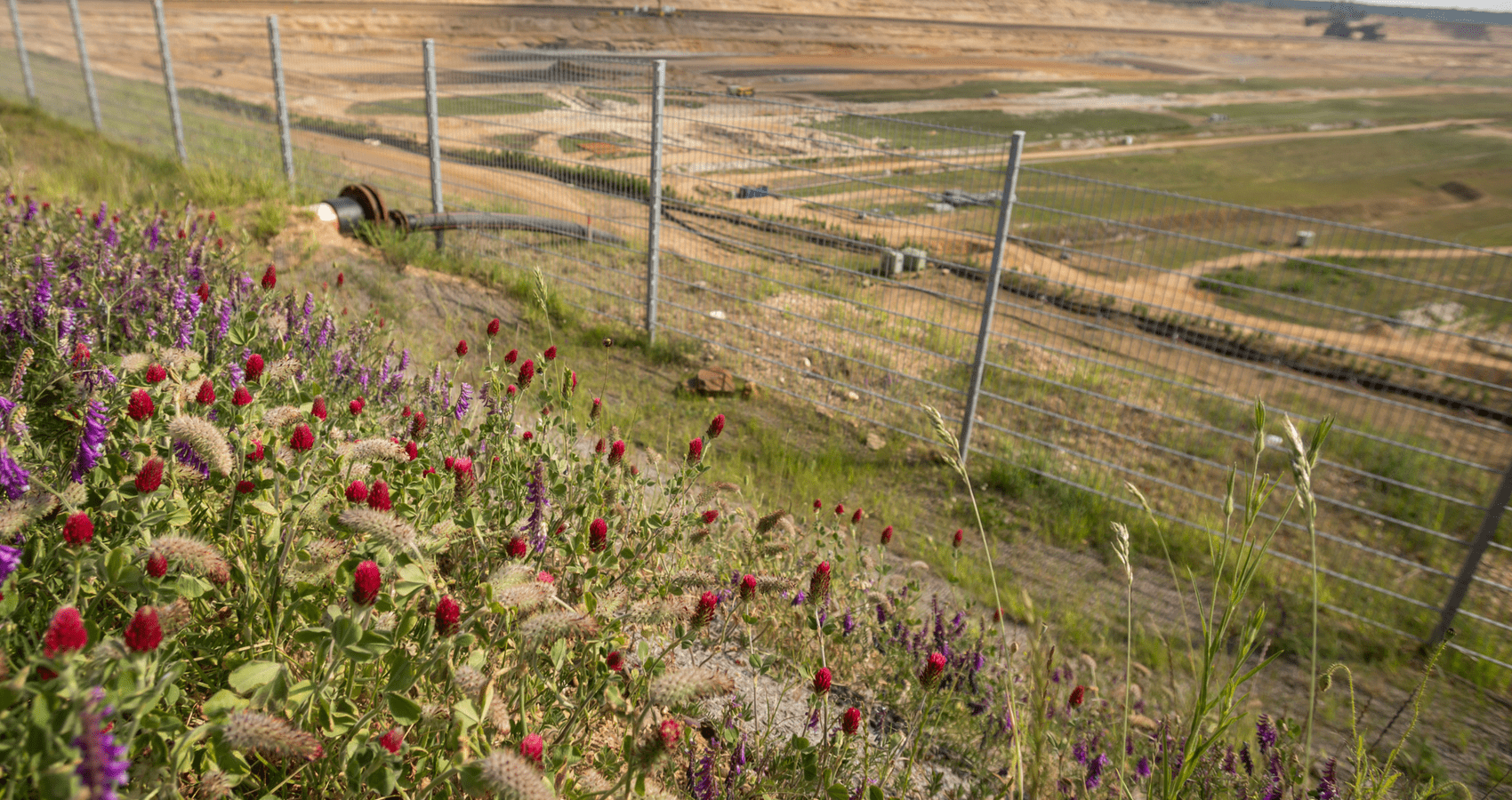 Mine site