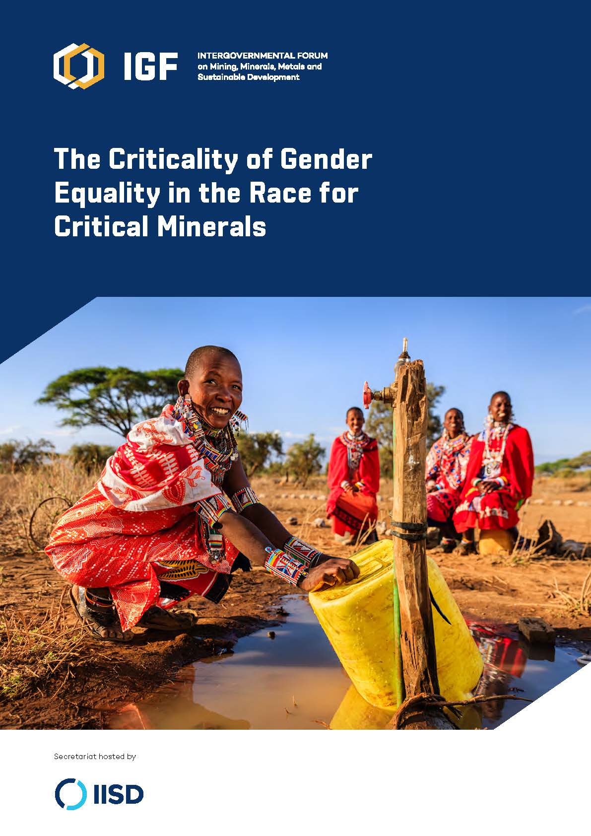 Cover of The Criticality of Gender Equality in the Race for Critical Minerals